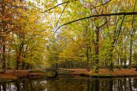 Oude Hof in Bergen mit Bäumen in Herbstfarben