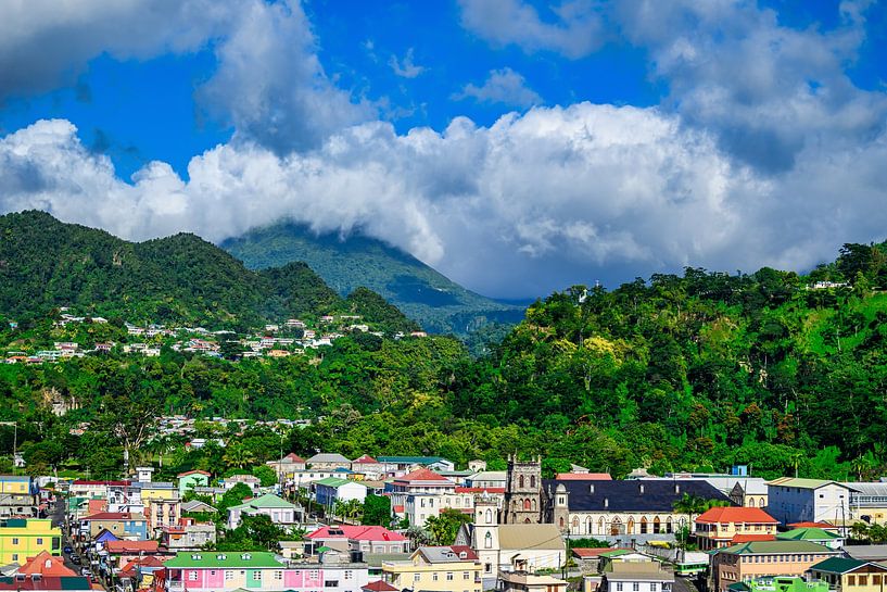 Vue de la côte de la Dominique et de la jungle par Andreas Völkel