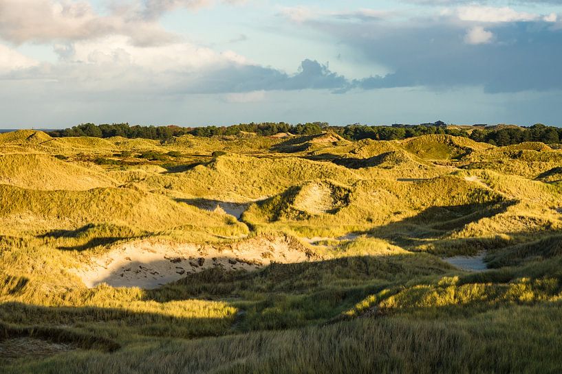 Dunes on the North Sea coast on the island Amrum by Rico Ködder