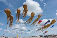 Vliegers op het strand