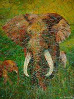 Big Tusker in Africa