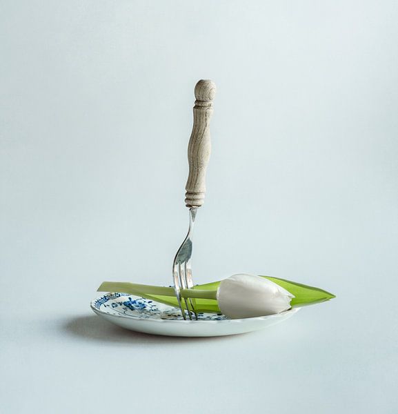 Dinner time!    Witte tulp van Mariska Vereijken