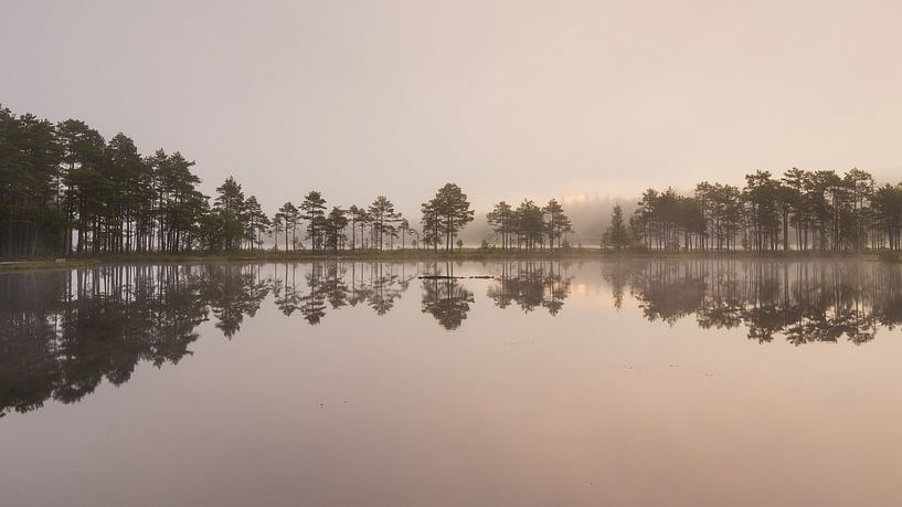 Schwedische Symmetrie - Baumreihe und aufgehende Sonne am See an einem nebligen Morgen von Bram Lubbers