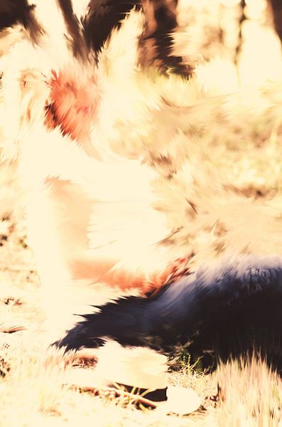 vrouw aan het zitten by Edita Stoncius