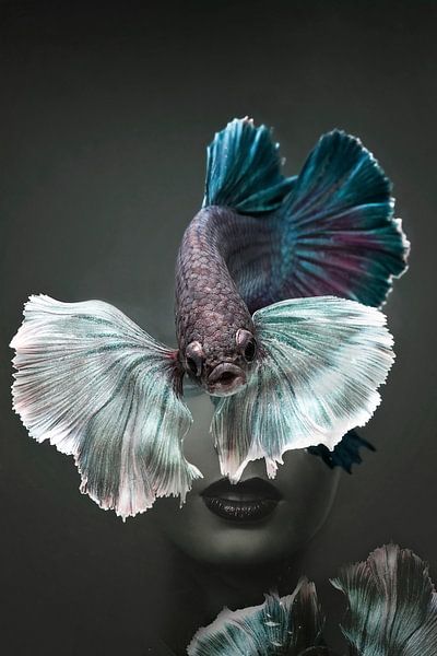 Fischerei III von Dreamy Faces