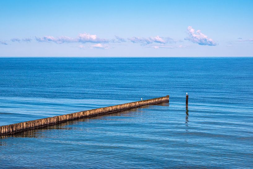 Groynes at the coast of the Baltic Sea in Nienhagen by Rico Ködder