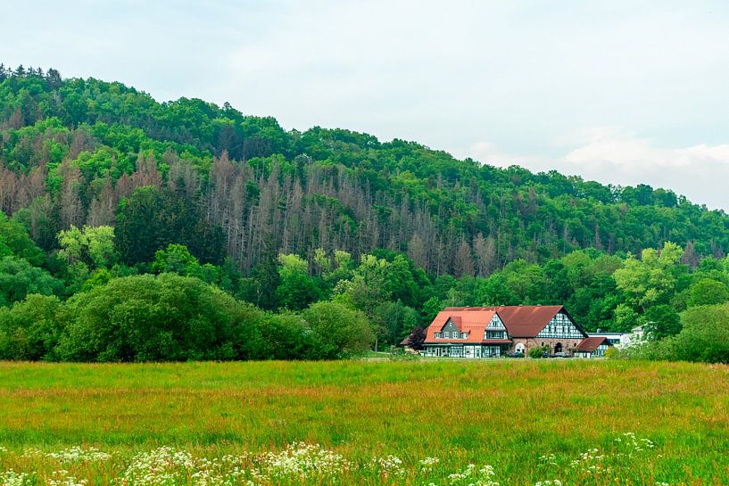 Sommerliche Fahrradtour durch das Schmalkaldener Umland bis in Werratal bei Fambach - Thüringen - Deutschland von Oliver Hlavaty