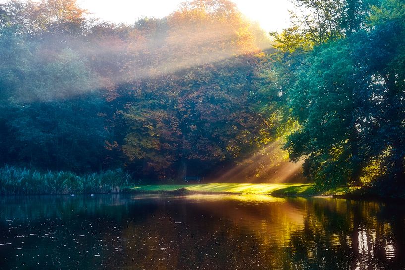 Jeu de couleurs dans la forêt de La Haye par Jan Radstake