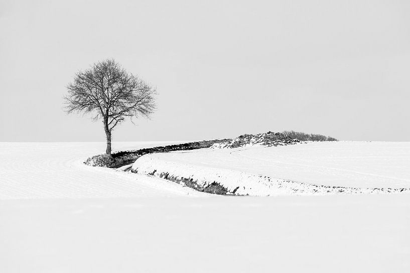 am Rande der Straße von Guy Lambrechts Fotografie