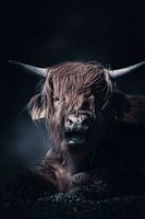 Stimmungsvolles Porträt eines schottischen Highlanders