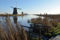 Les moulins de Kinderdijk par une matinée froide