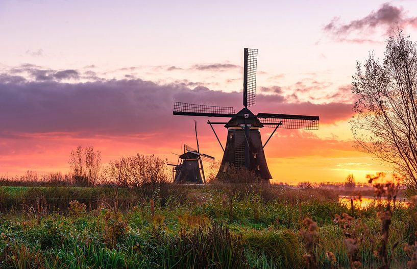 Sonnenaufgang bei Kinderdijk von Gea Gaetani d'Aragona