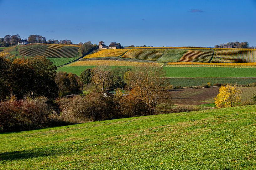 The Yeker valley with a view of the apostelhoeve  in the warm autumn colours by Kim Willems