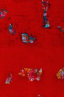 Des éclats de couleur dans la mer Rouge