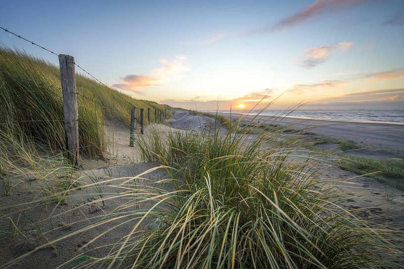 Dunes and beach on the coast of the Netherlands by Dirk van Egmond