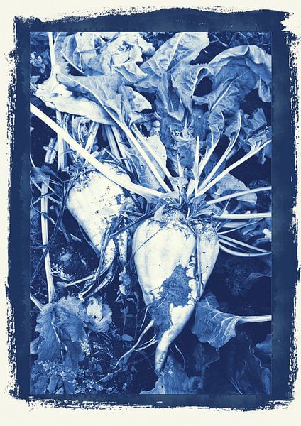 Ackerland von Ans Houben