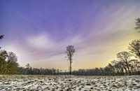 Nederlands Boslandschap Prattenburg in Veenendaal in de Utrechtse heuvelrug