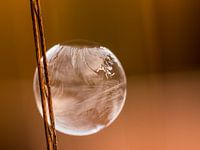 Seifenblasenblasen mit Frost