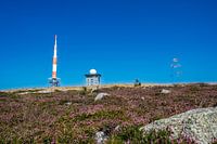 Contraste entre l'ingénierie humaine et la beauté naturelle avec le mât émetteur orange-blanc sur l'emblématique Brocken