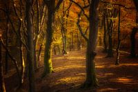 wonderful restingplace.