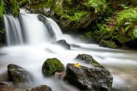 Die letzten Herbstblätter am Wasserfall