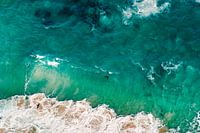 Seehund in den Wellen