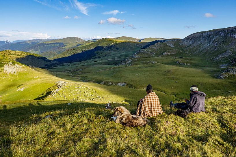 Shepherd by Roland Brack