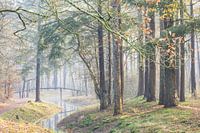 Magischer Morgen auf dem Landgut Heidestein!