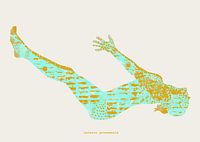 Matsyasana | Pose du poisson