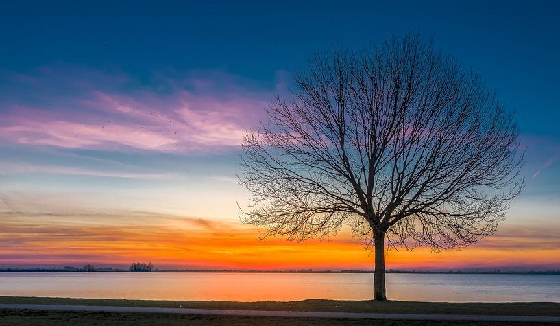 reeuwijk von Remco-Daniël Gielen Photography