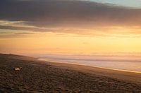 Französische Abendsonne