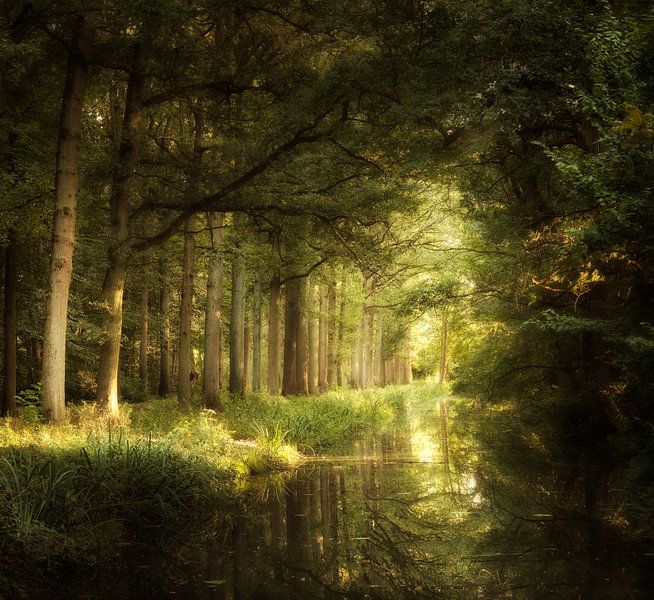 Pendant que vous voyez une chance par Kees van Dongen