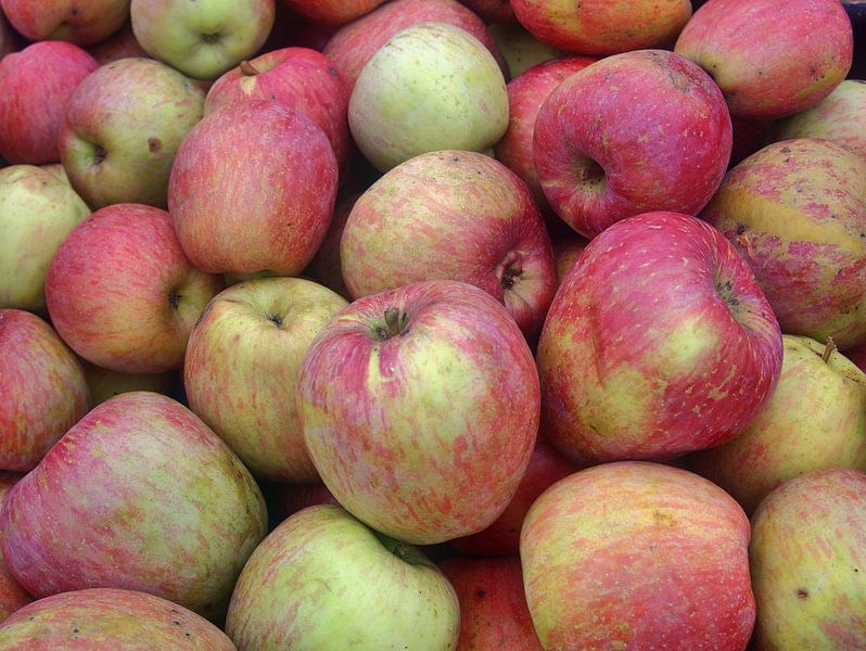 Pommes du marché par Edgar Schermaul