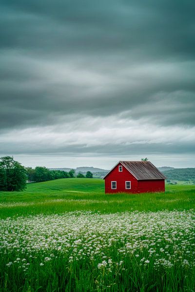 Rotes Haus Wiese von Poster Art Shop