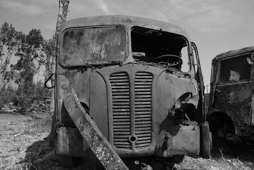 Tijdloos  par Marcel van Rijn