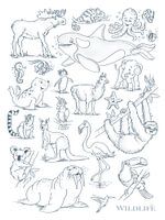 grappige diertekeningen