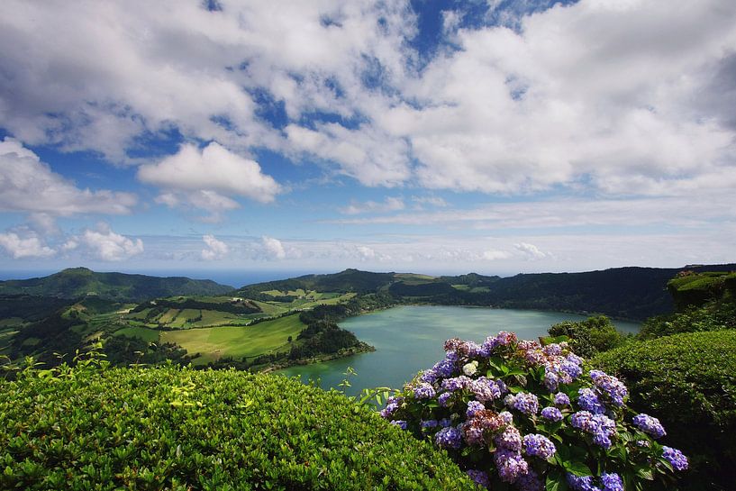 Lake, Clouds and Flowers by Yvonne Smits