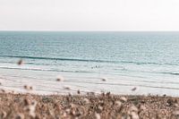 Découvrez les magnifiques champs de la Bretagne sur les côtes françaises