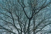 Réserve naturelle Oeffelt