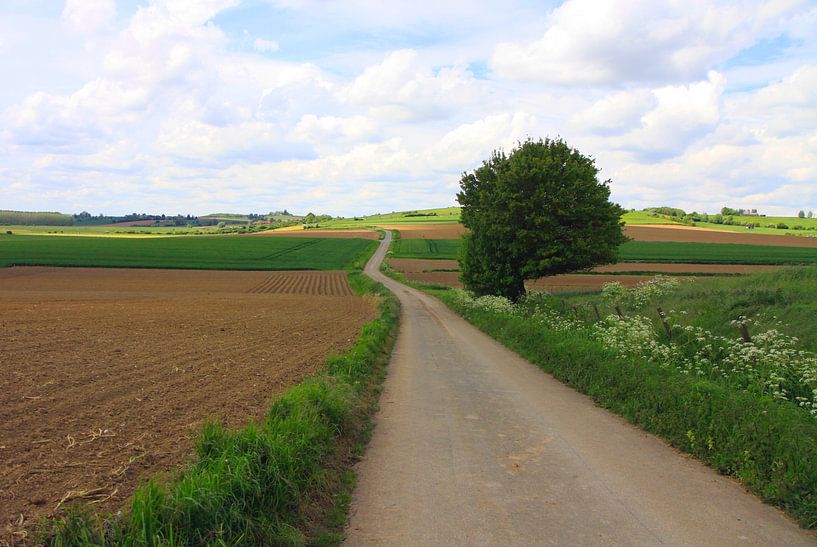 Vast landscape by Judith van Bilsen