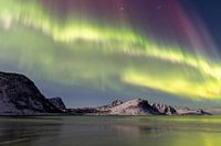 Nordlicht auf den Lofoten
