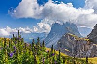 Seceda of the Geisler Group in the Dolomites