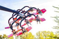 Wild Wings at Duinrell