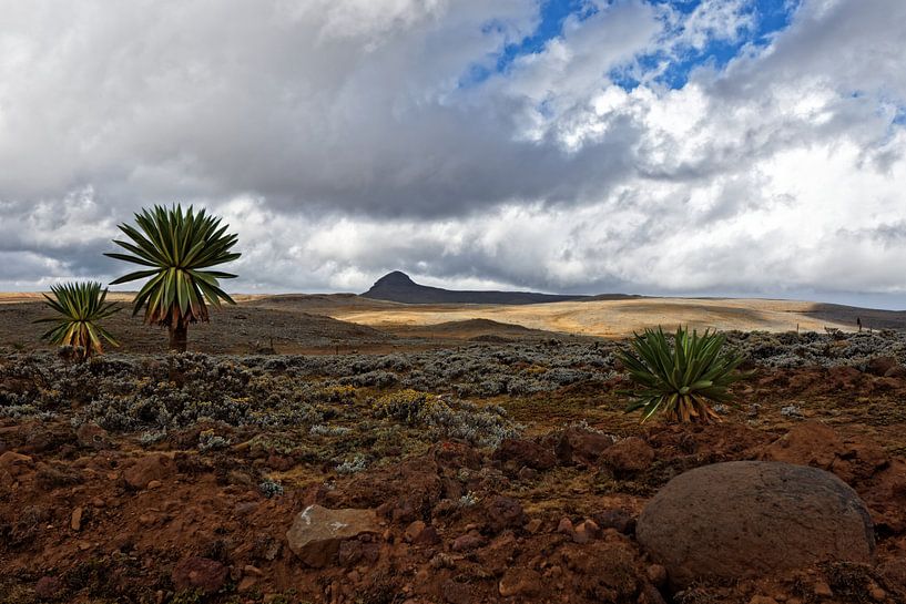 sanettiplateau von rene schuiling