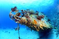 Wrak van een zeilboot