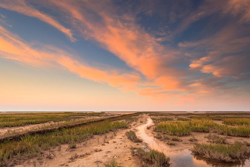Oranje boven het Uithuizerwad par Karla Leeftink