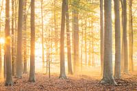 Ein neuer Tag, ein neuer Anfang