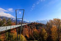 Des couleurs d'automne harmonieuses.