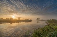 serene morning in Kinderdijk.