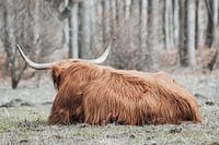 Entspannen Sie sich!